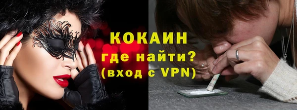 прущие грибы Медвежьегорск