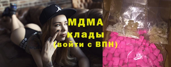 прущие грибы Медвежьегорск