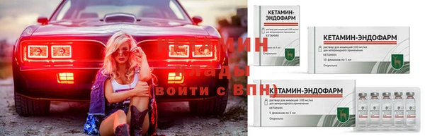 прущие грибы Медвежьегорск