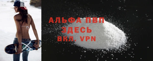 прущие грибы Медвежьегорск