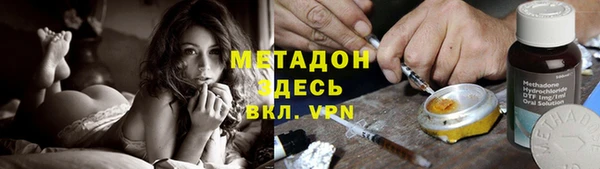 прущие грибы Медвежьегорск
