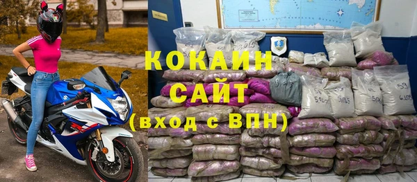 прущие грибы Медвежьегорск