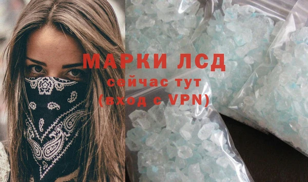 прущие грибы Медвежьегорск
