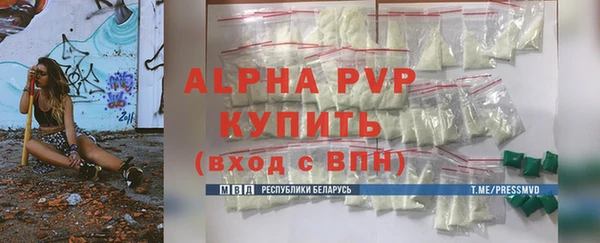 прущие грибы Медвежьегорск