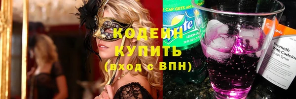 прущие грибы Медвежьегорск