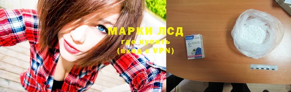 прущие грибы Медвежьегорск